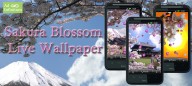Sakura Blossom Live Wallpaper