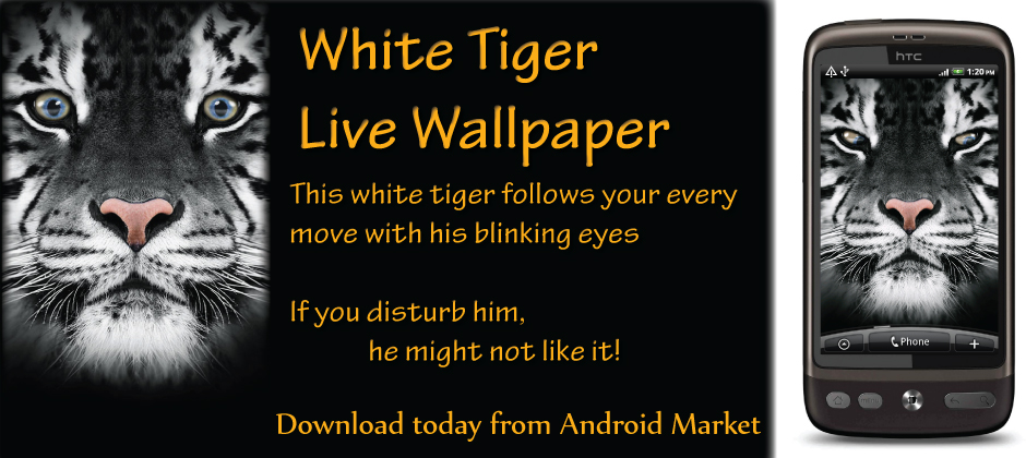 cute white tiger wallpaper. White Tiger Live Wallpaper